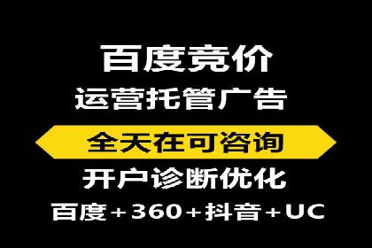 竞价推广中的数据监控与分析：某行业头部企业的成功经验