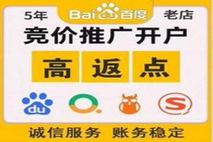 案例分享：专业SEM托管助力品牌崛起